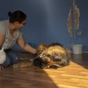 Amal Jamal, amante de los animales palestinos, acaricia a un perro en el hotel que abrió, que ofrece varios servicios, como cuidado personal y alojamiento para perros y gatos en Erbil, Irak, el 18 de octubre de 2022. (Foto de Ahsan Mohammed Ahmed/Agencia Anadolu vía Getty Images)