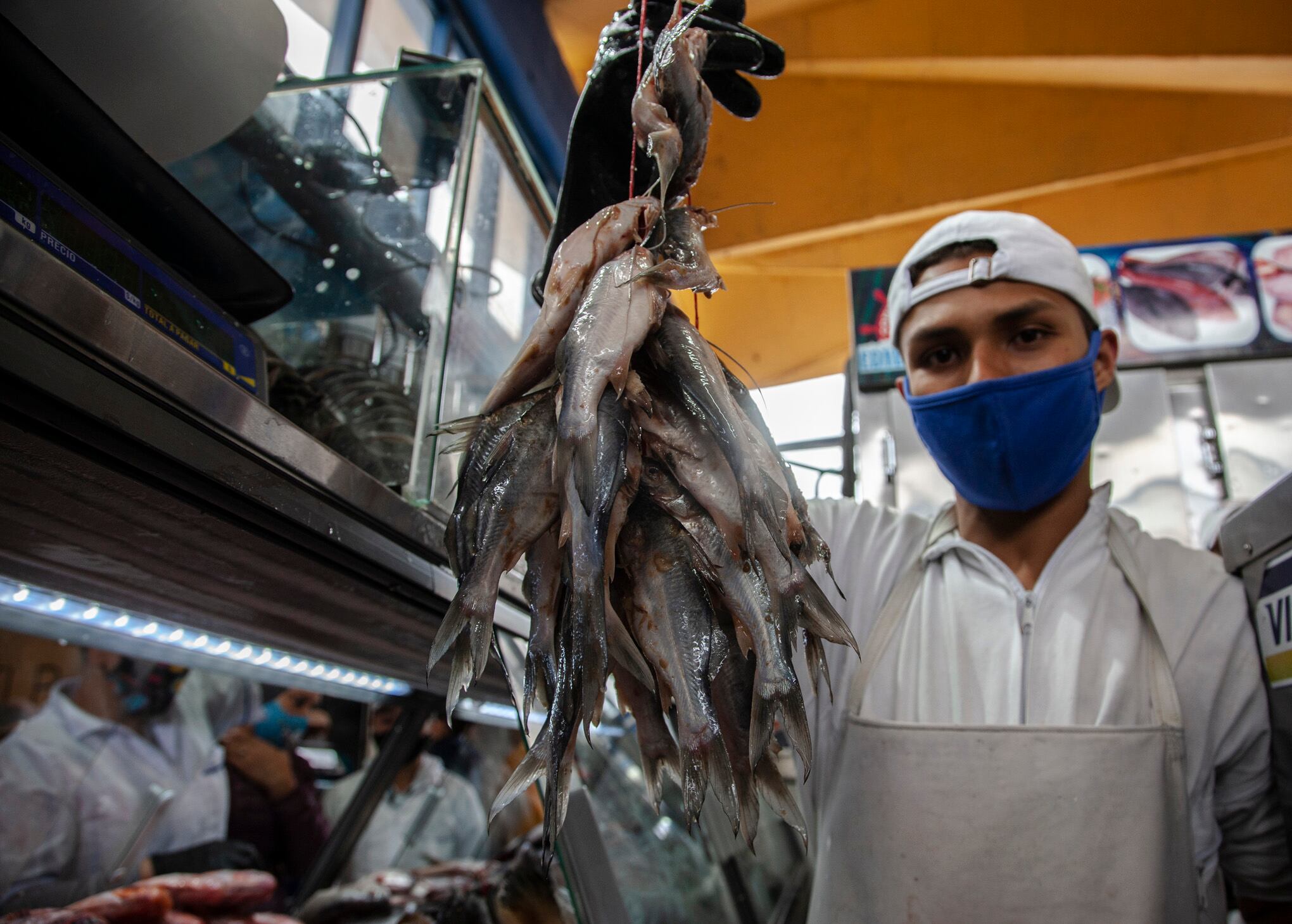 Plaza de mercado Paloquemao  venta de pescado de buena calidad en Semana Santa