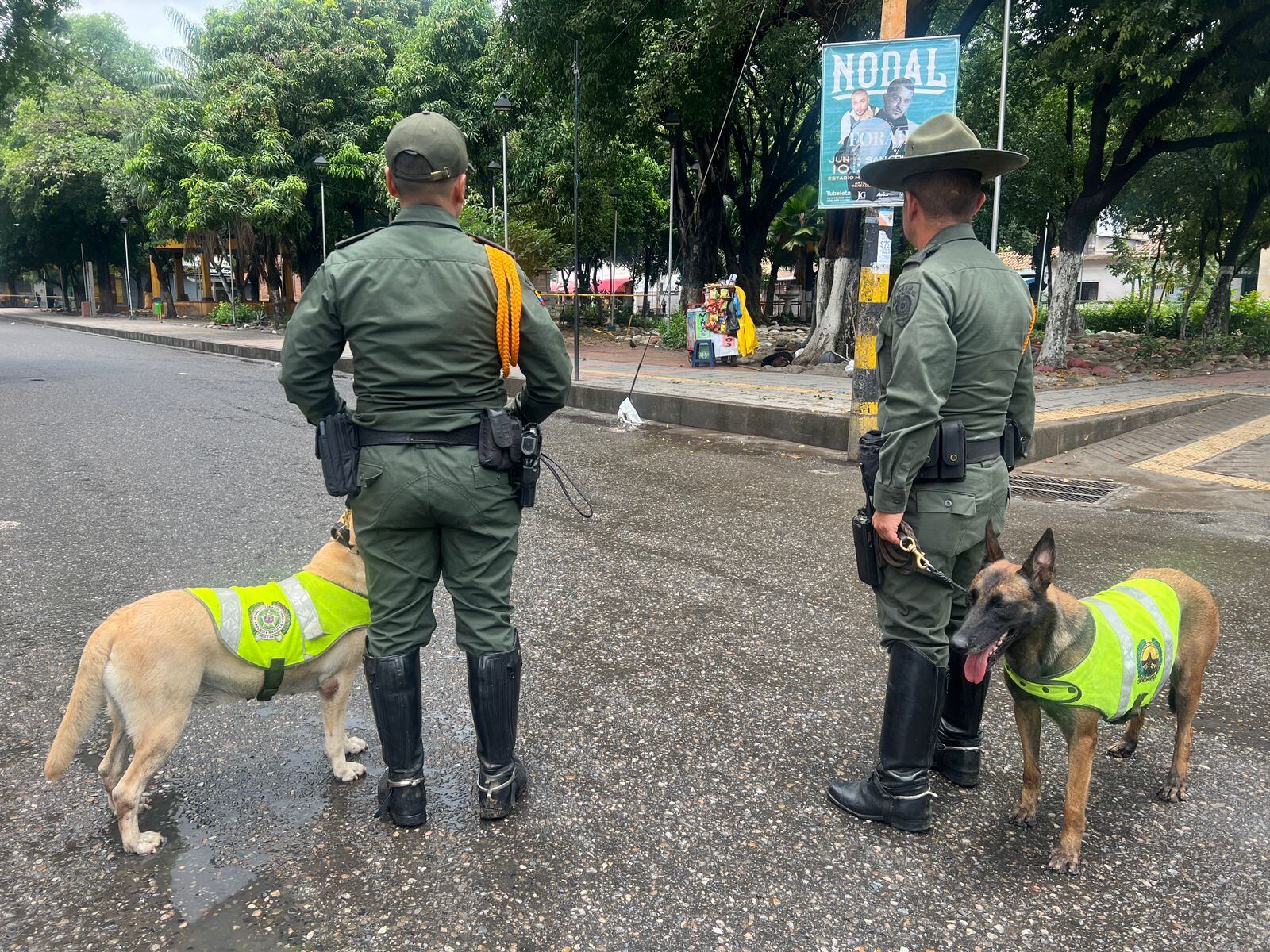 Las autoridades inspeccionan en lugar.