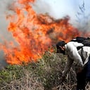 Durante los periodos de calor intenso y baja humedad, la vegetación se seca con mayor facilidad.