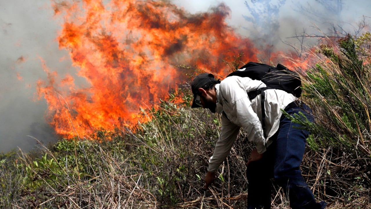 Durante los periodos de calor intenso y baja humedad, la vegetación se seca con mayor facilidad.