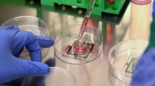 Los cultivos neuronales son mantenidos en condiciones controladas dentro de las instalaciones de Cortical Labs.