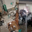 Imágenes de cómo quedó la vivienda tras la pataleta del pequeño.