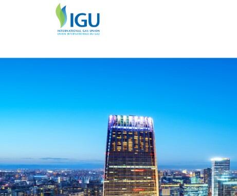 International Gas Union
