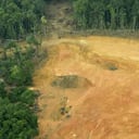 La degradación en la Amazonia brasileña ha venido en aumento en los últimos años, en parte, por la flexibilización a nivel normativo y ambiental del gobierno de Jair Bolsonaro. Foto: Wildlife vía DW - Mundo hoy.