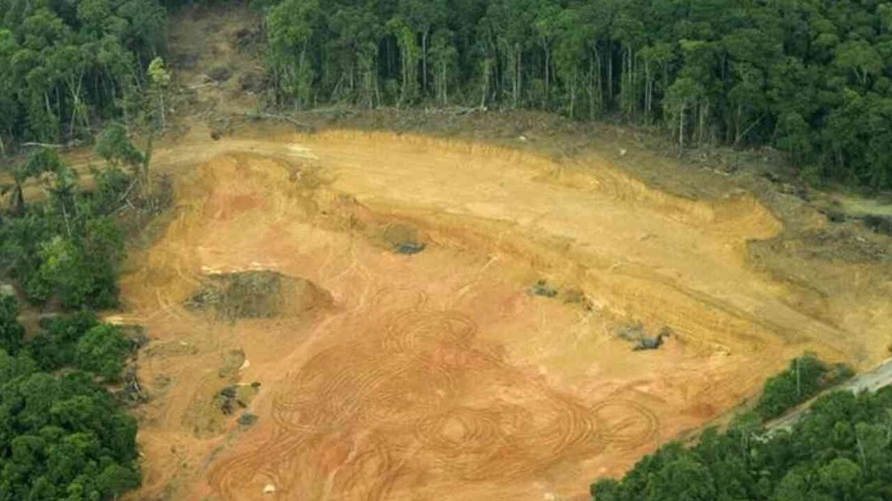 La degradación en la Amazonia brasileña ha venido en aumento en los últimos años, en parte, por la flexibilización a nivel normativo y ambiental del gobierno de Jair Bolsonaro. Foto: Wildlife vía DW - Mundo hoy.