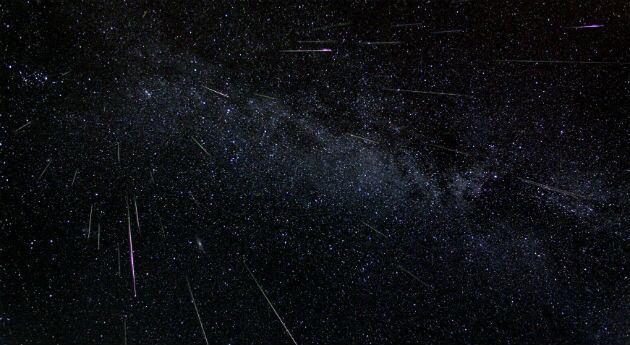 En 2004, el astrónomo Fred Bruenjes capturó esta lluvia de meteoros al alargar la exposición de su cámara fotográfica durante 30 segundos. 