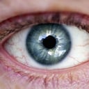 Foto de un ojo tomada el 11 de agosto de 2005 en Sydney, Australia