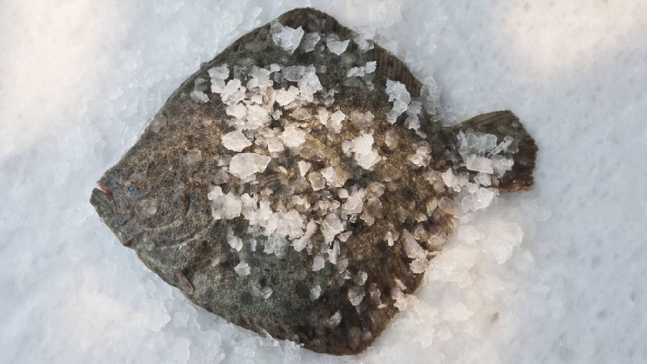 El rodaballo es un pescado rico en ácidos grasos Omega 3. Foto: Getty images.