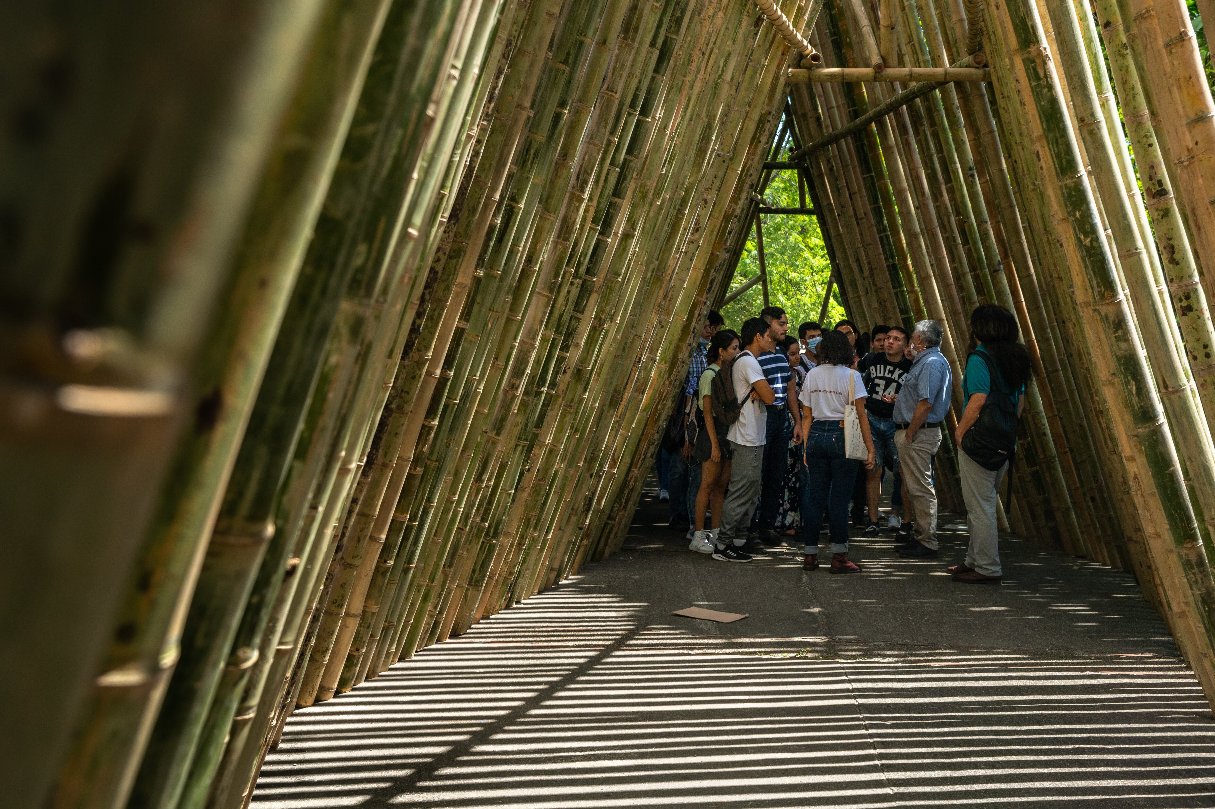 SNA en Neiva. LA obra es 'Cordillera', de Mario Opazo.