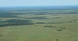 La Gran Alianza Contra la Deforestación llegó a San José del Guaviare para realizar el primer foro y taller regional en los sitios más afectados por la motosierra. Guaviarenses y expertos ambientales plantearon alternativas para darle solución al flagelo que a diario acaba con cerca de 400 hectáreas de bosque amazónico.