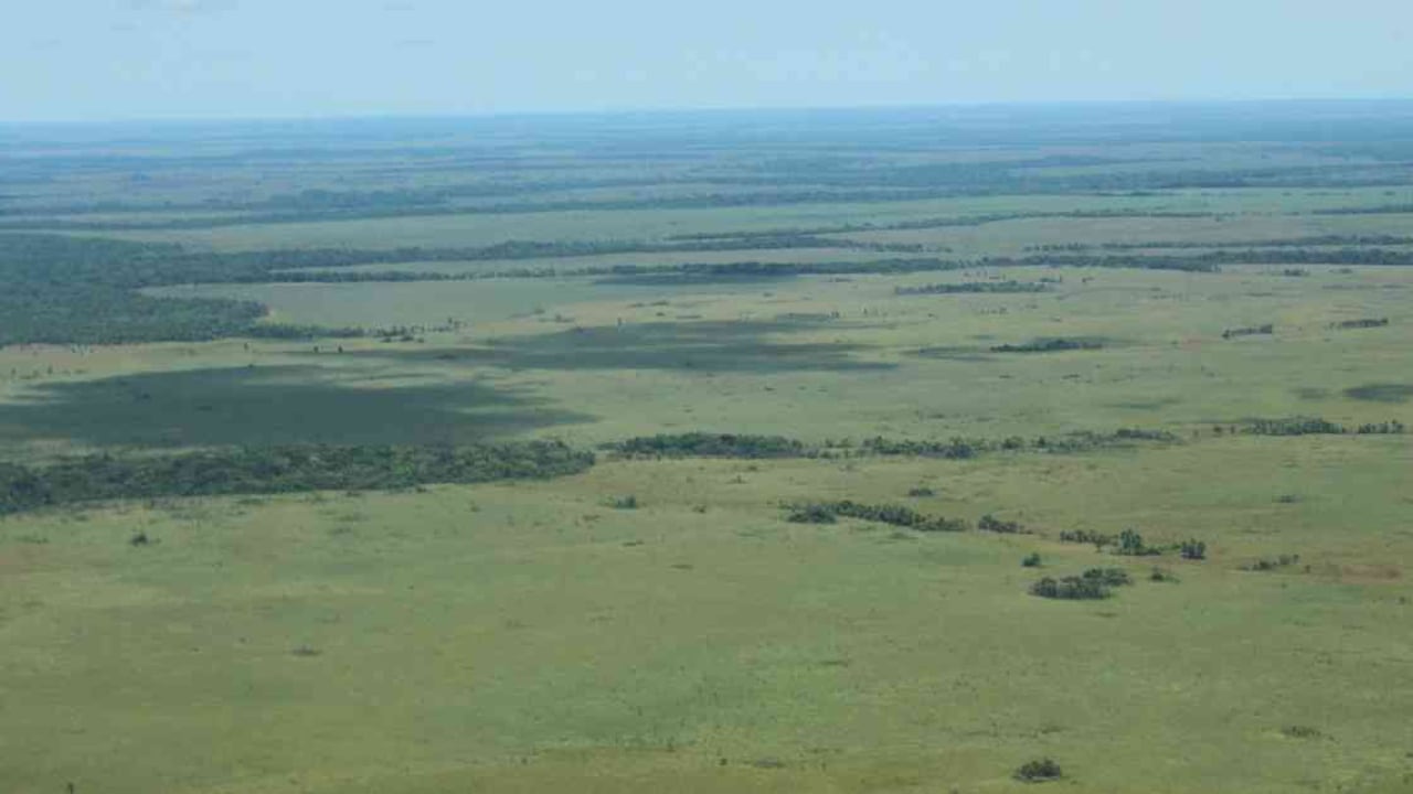 La Gran Alianza Contra la Deforestación llegó a San José del Guaviare para realizar el primer foro y taller regional en los sitios más afectados por la motosierra. Guaviarenses y expertos ambientales plantearon alternativas para darle solución al flagelo que a diario acaba con cerca de 400 hectáreas de bosque amazónico.
