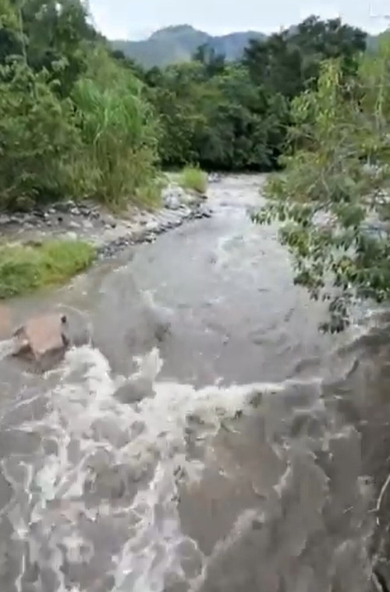 Caudal del río Peralonso en Norte de Santander