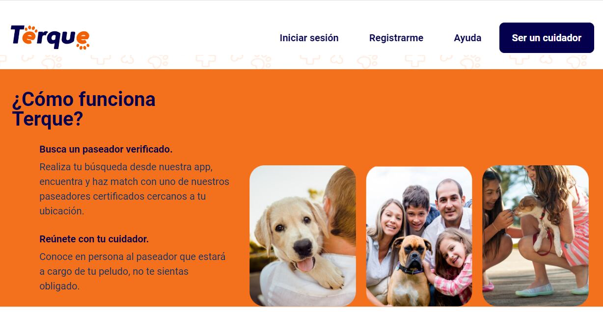 Pantallazo Terque.com