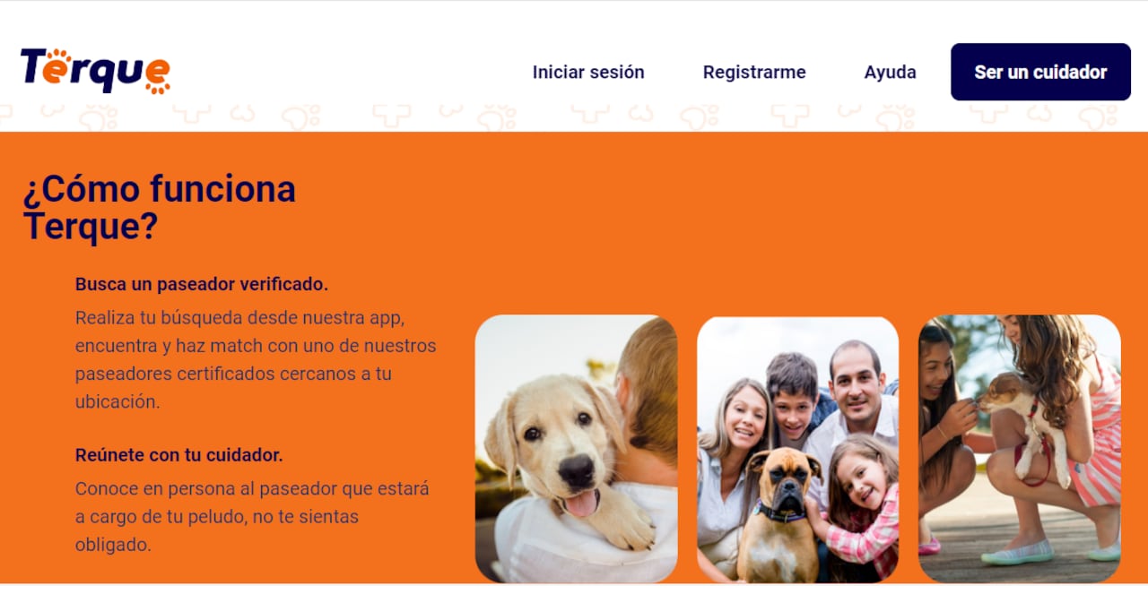 Pantallazo Terque.com