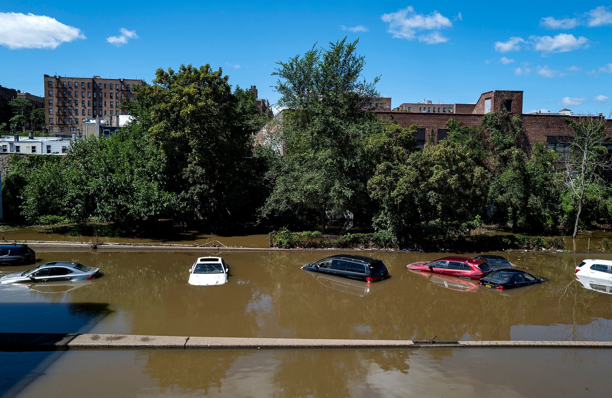 Restos de IDA fotografiado en Nueva York