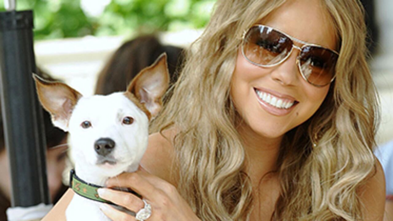 El gasto de los famosos en sus mascotas