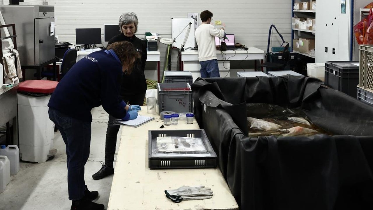 La arqueóloga Marine Sadania, responsable de la gestión científica y patrimonial del litoral de la PACA, examina una jarra recuperada del pecio Camarat 4.