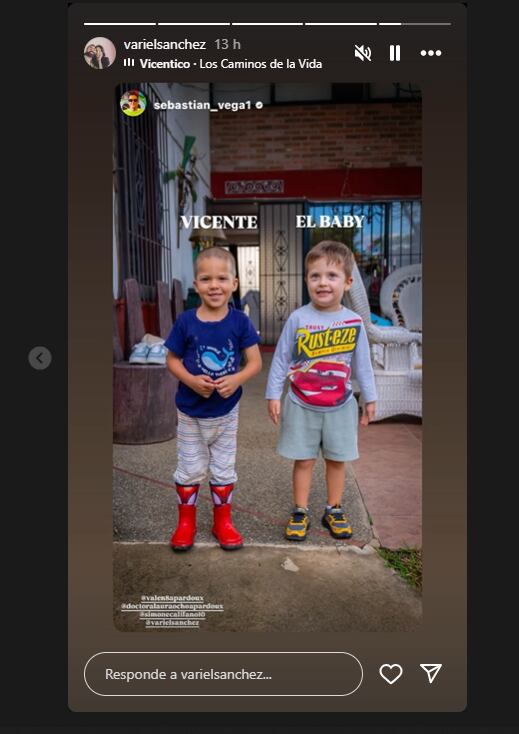Variel Sánchez reposteó la historia de Sebastián Vega.