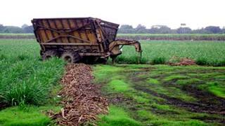 Un año sólido para la inversión