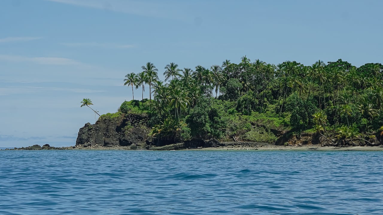P.N.N. Isla Gorgona forma parte de una de las 59 áreas protegidas del sistema de PNN de Colombia. Está conformado por dos islas (Gorgona y Gorgonilla). Está ubicada a 28 km al oeste de la costa del Pacífico Colombiano. Pertenece al municipio de Guapi departamento del Cauca. Fue descubierta por Bartolomé Ruiz en 1526. Se le da este nombre debido a que la gran cantidad de serpientes en la isla que le recordaban a las Gorgonas de la mitología griega, quienes, en lugar de cabellos, llevaban serpientes. 29 de septiembre de 2024. Foto Jorge Orozco / El País.