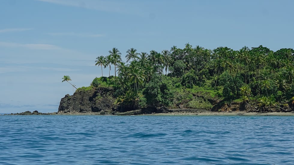 Playa Guapi Guapi: joya del Pacífico colombiano y destino lleno de experiencias ...