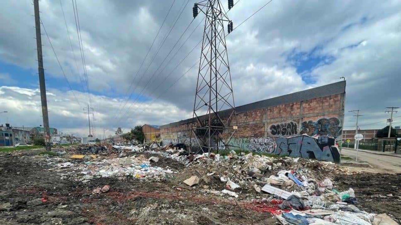 La Alcaldía de Puente Aranda denuncia que hay problemas de inseguridad, basuras y hasta de vectores en el predio.