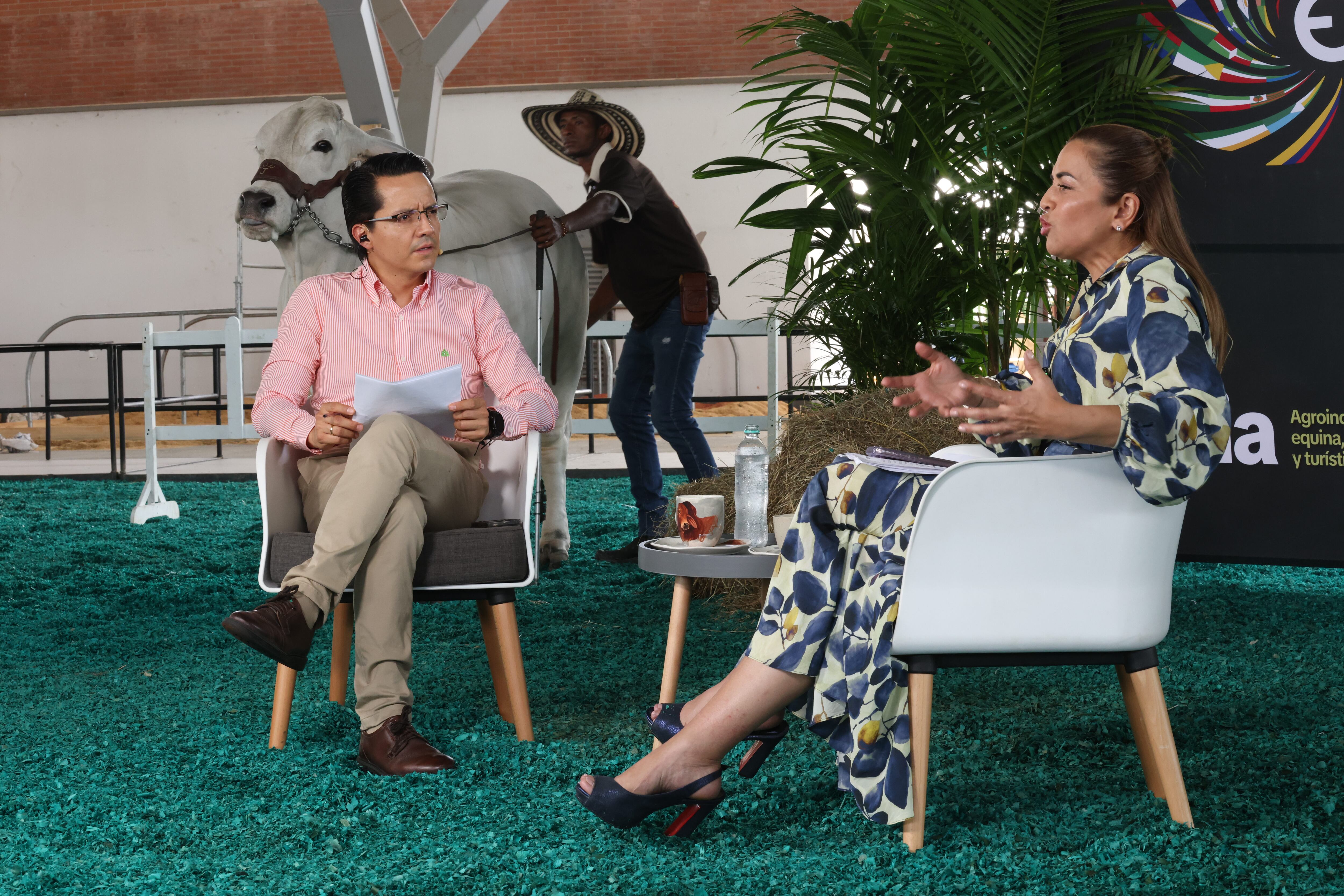 El Debate

Habla Rafaela Cortés, gobernadora del Meta