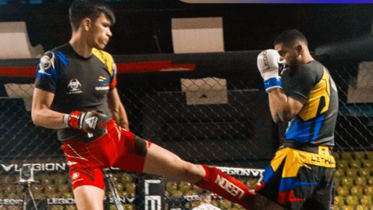 Actividades del Festival de Verano 2025.