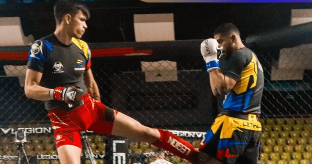 Actividades del Festival de Verano 2025.