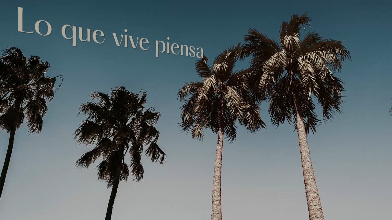 Imagen de la videoinstalación de Jessica Mitrani "Soñé que el paisaje me miraba". Cortesía del MAMBO