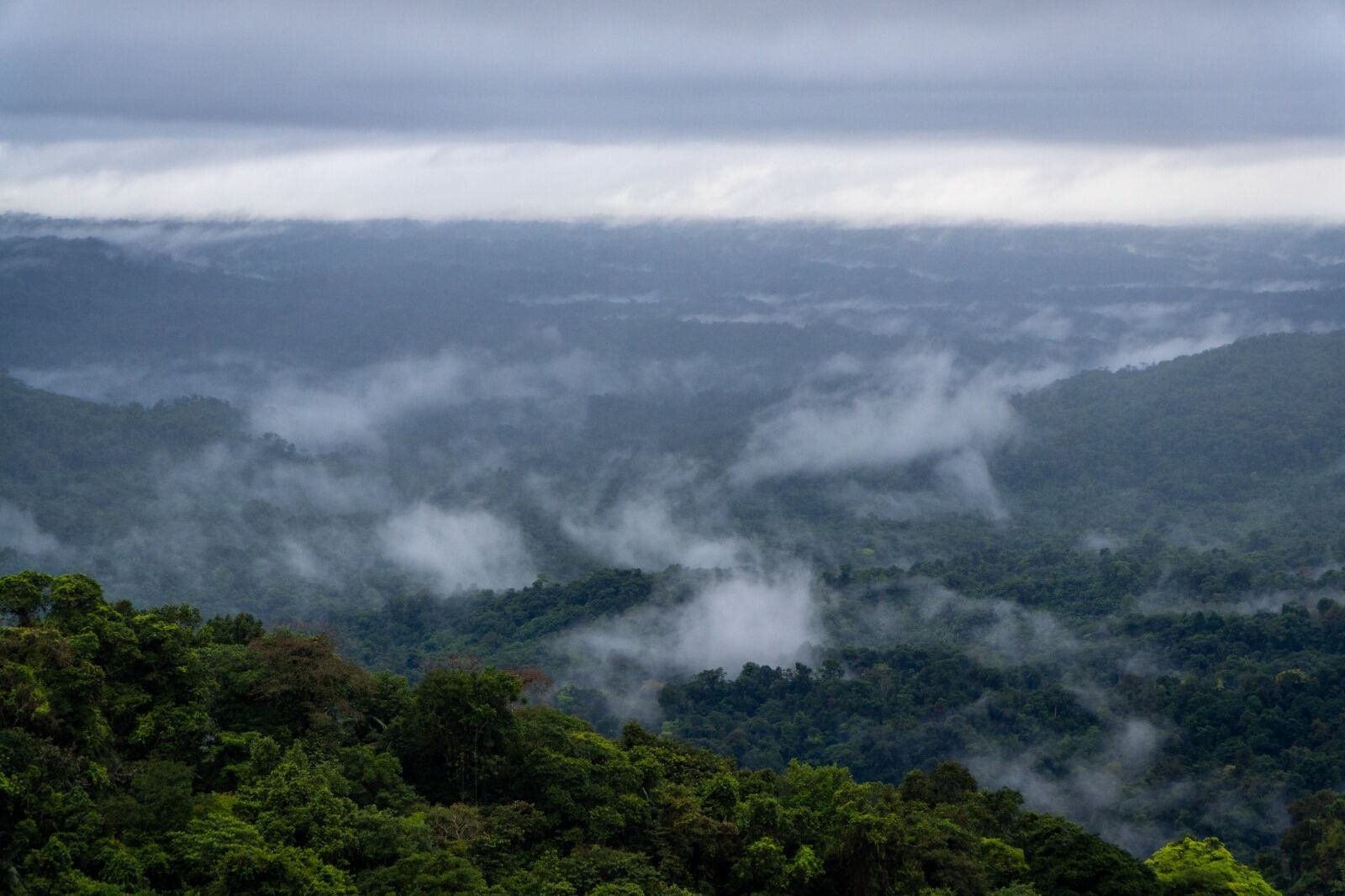 Las CAR apoyan a más de 650 municipios en la incorporación de cambio climático.