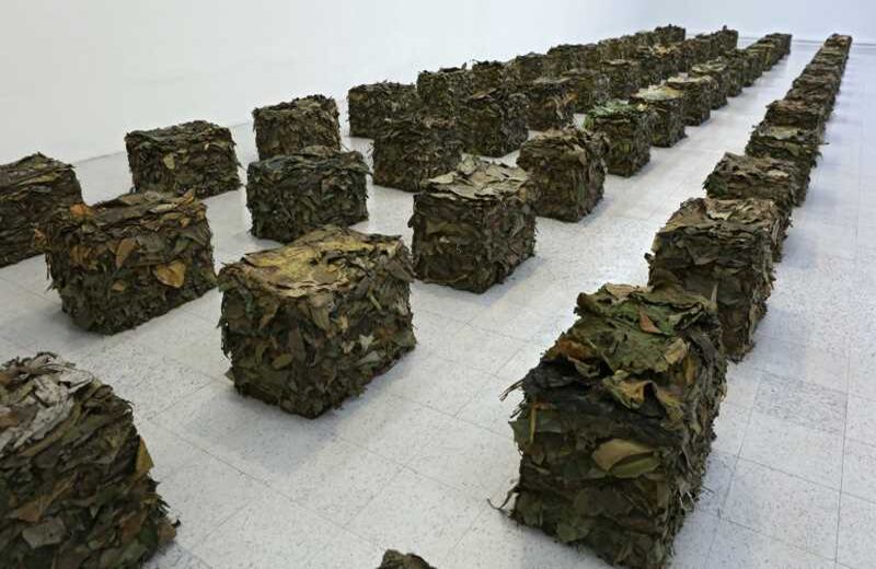 Sin título (cubos de hierbas y hojas). Foto: Daniel Reina.