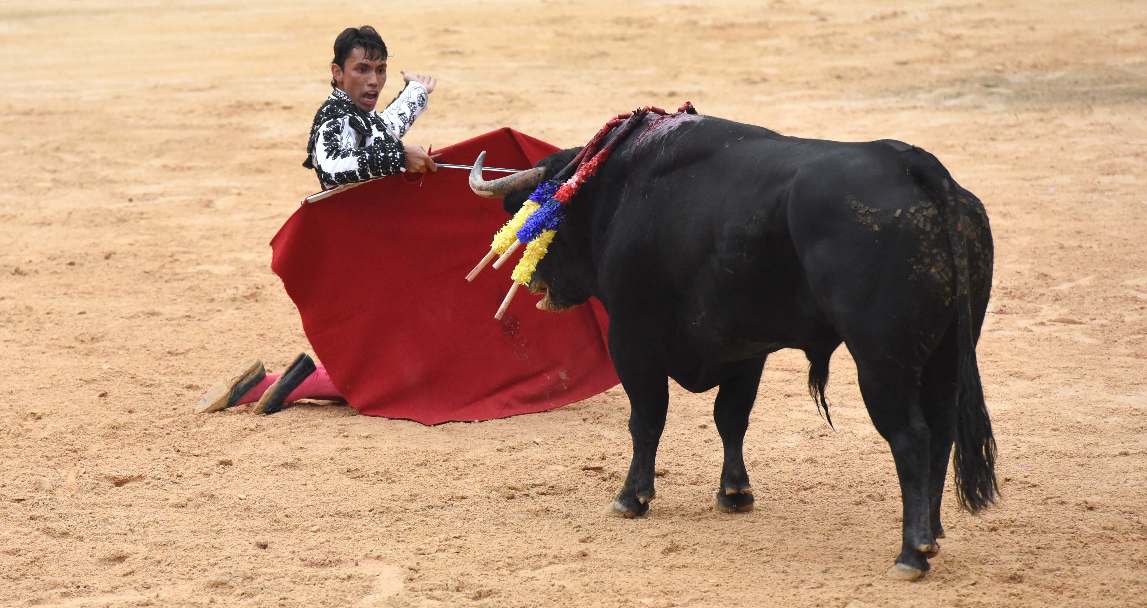 Luis Miguel Ramírez, novillero de Medellín. Cali, 11 de diciembre de 2021.