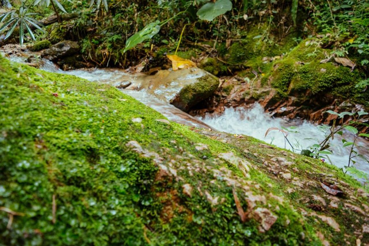 Cascadas en San Joaquín