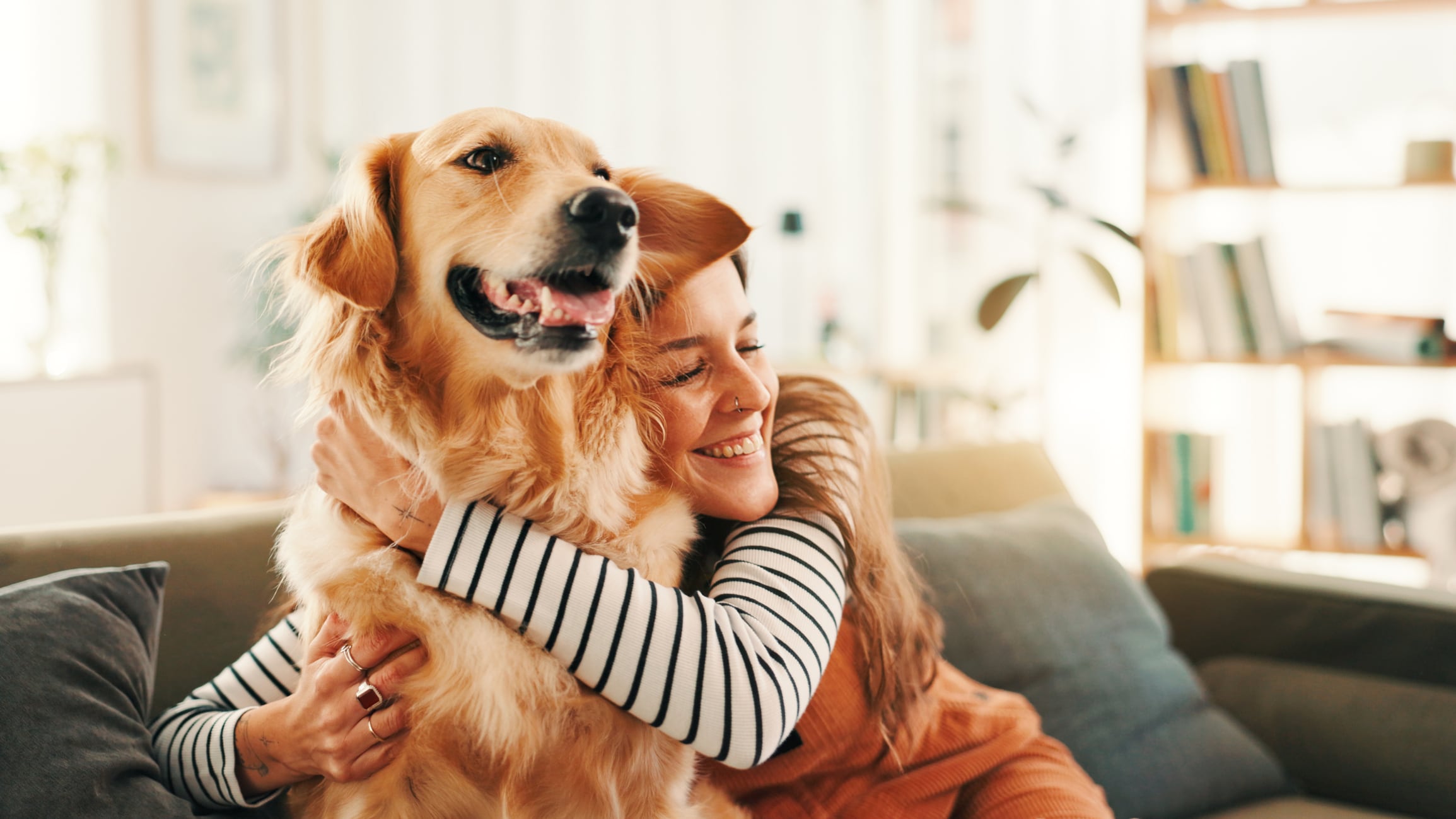 Golden Retriever