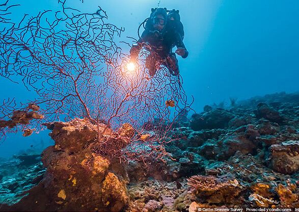 Gran Barrera de coral