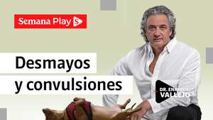 Desmayos y convulsiones | Enrique Vallejo en Salud Animal