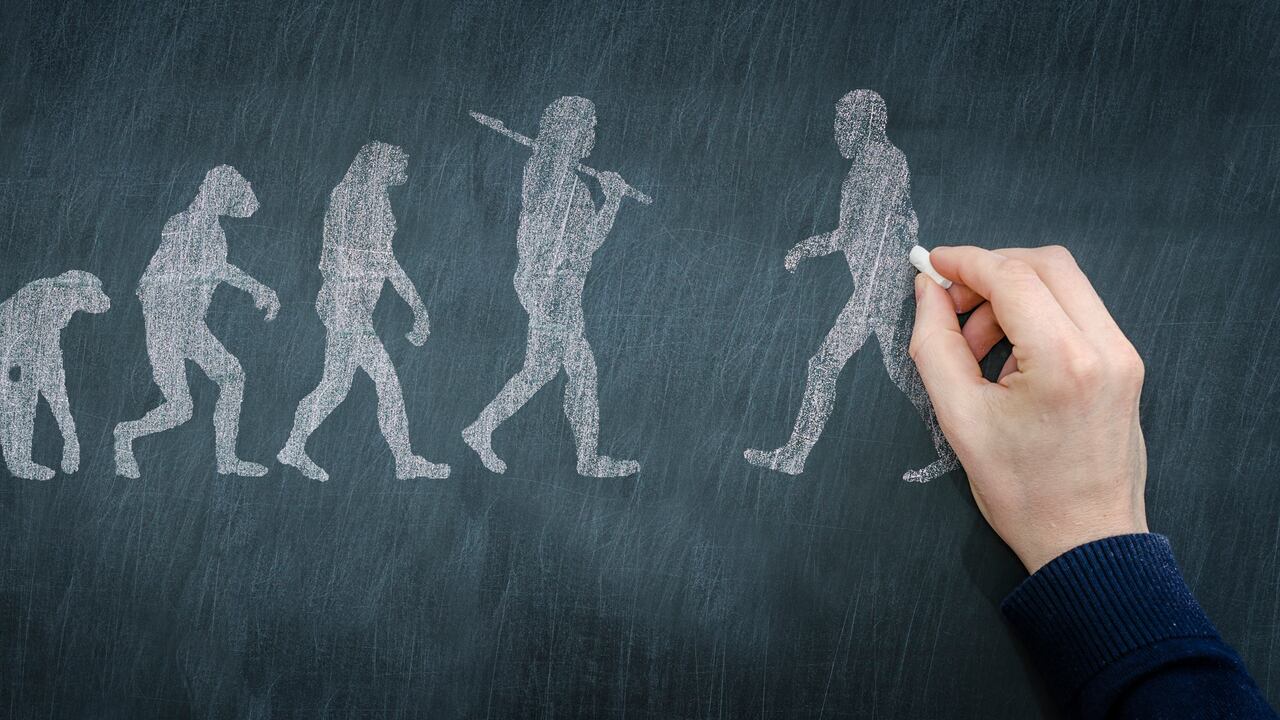 Con las proporciones de isótopos estables de zinc, ahora podemos estudiar Tam Pà Ling y aprender qué tipo de comida comían nuestros primeros antepasados en esta región.