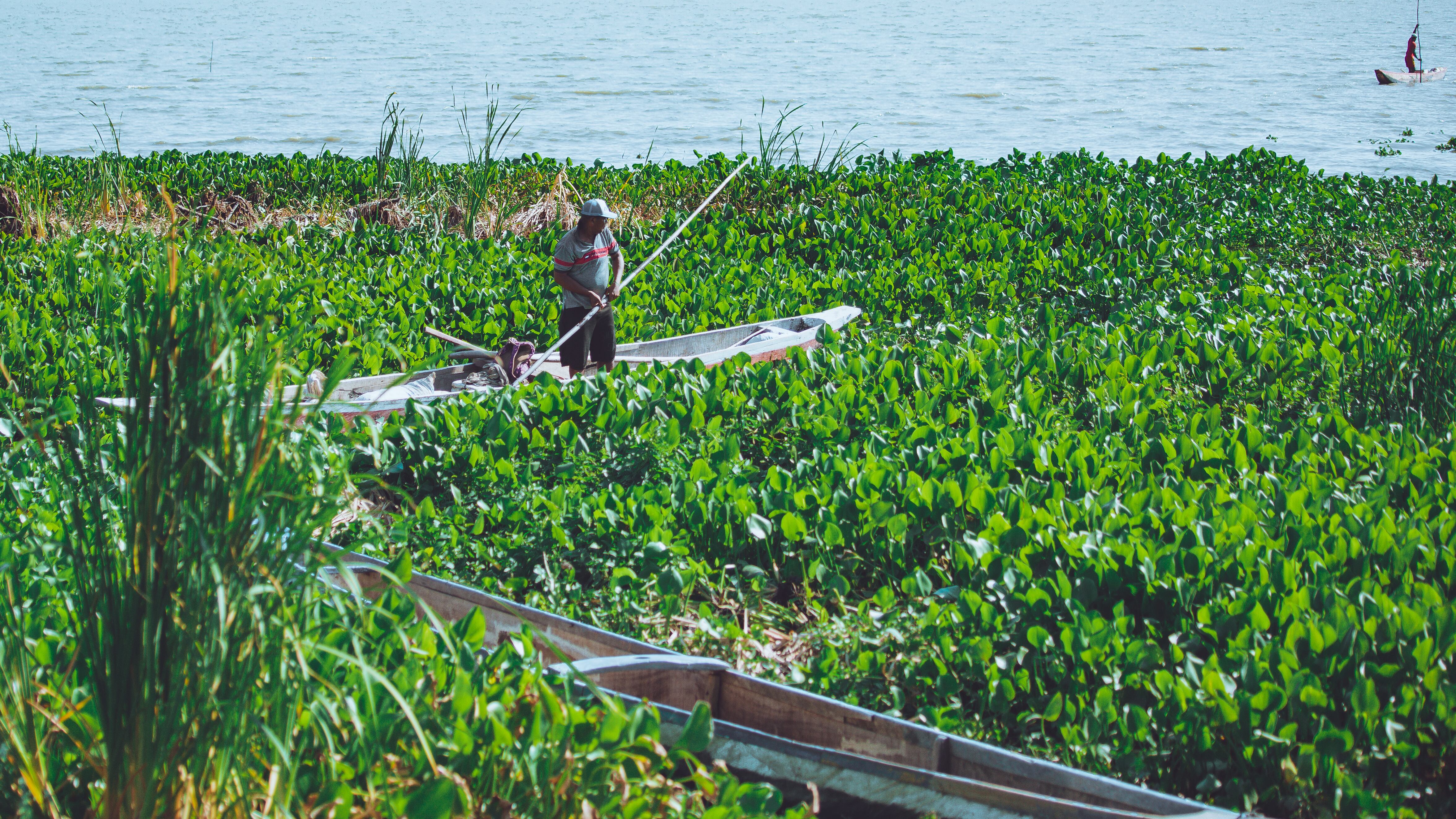 Canal del Dique ambiente