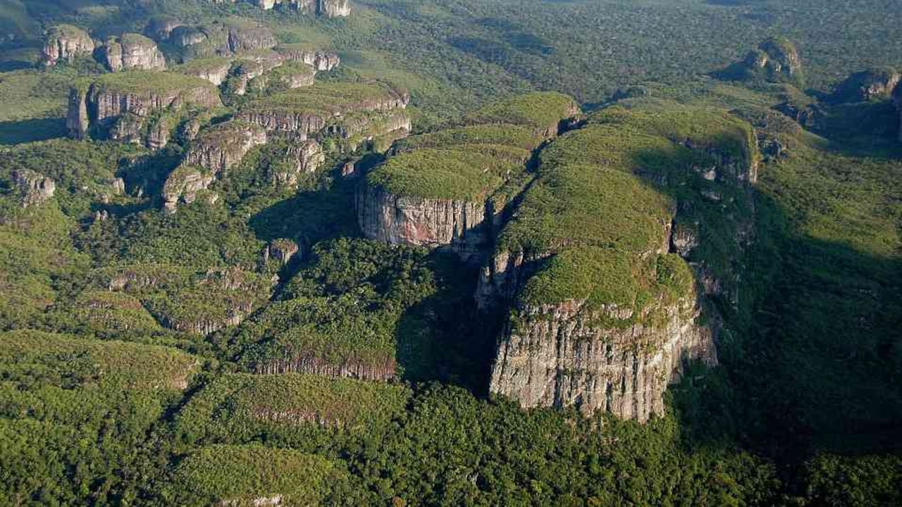 El Parque Nacional Natural Serranía de Chiribiquete tiene más de 4,3 millones de hectáreas que permanecen ocultas para los turistas que sueñan con observar una de sus mágicas formas. Foto: Parques Nacionales Naturales.