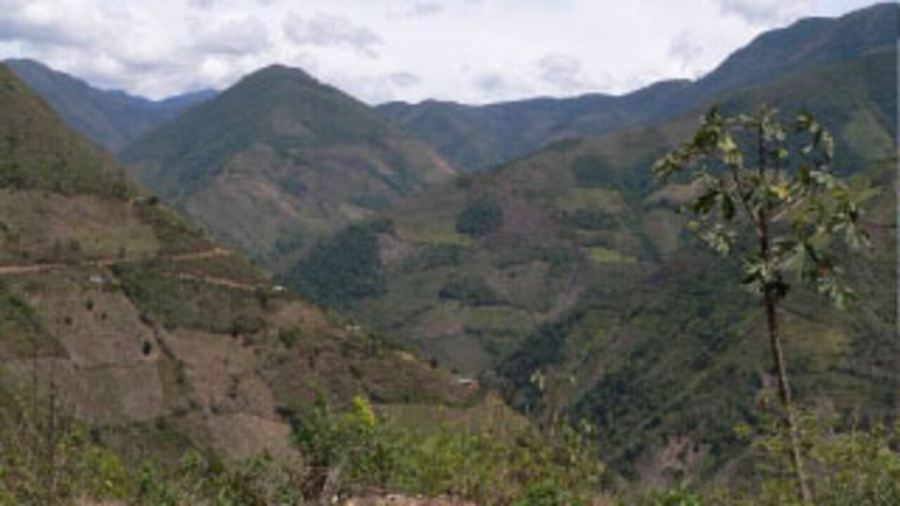 En la serranía de Pinche la debacle ecológica es más que evidente. Extensas zonas de bosques de niebla se han convertido en potreros improductivos