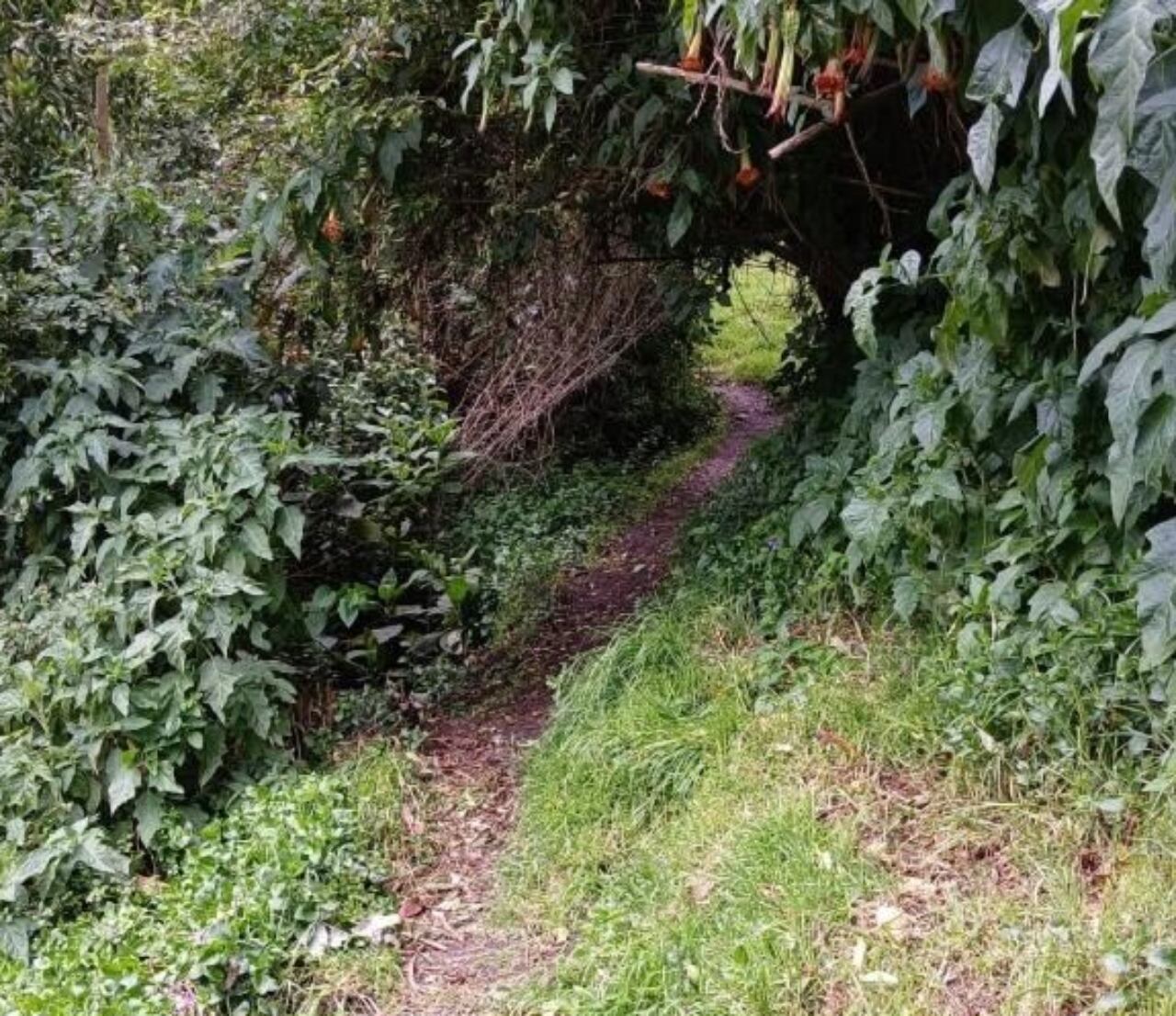 Camino de herradura, Cuítiva