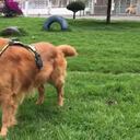 Se conocen más detalles del atentado que esta mañana sacudió la ciudad de Cúcuta y dejó dos policías muertos. Perro antiexplosivo no identificó la carga