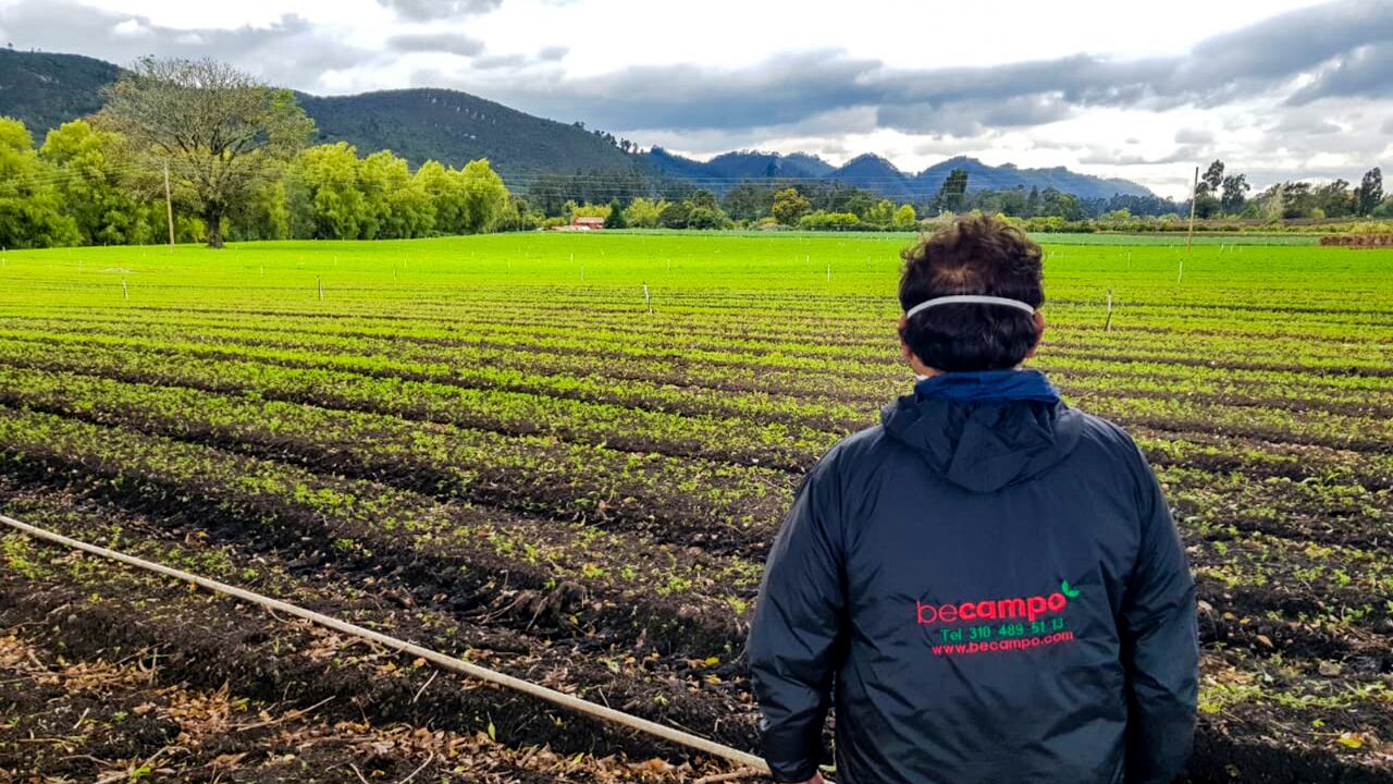 Al principio de la crisis por el coronavirus Becampo solo funcionaba por WhatsApp, hoy ya tienen toda una plataforma en línea.