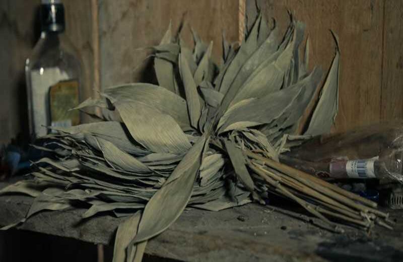 Fotografía: Juan David Padilla Vega.