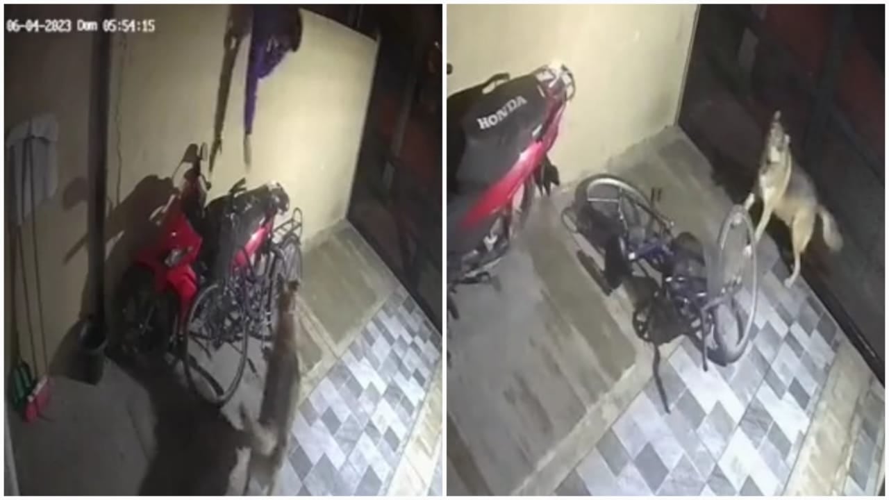 El episodio se registró poco antes de las 6: 00 a. m. del 4 de junio.