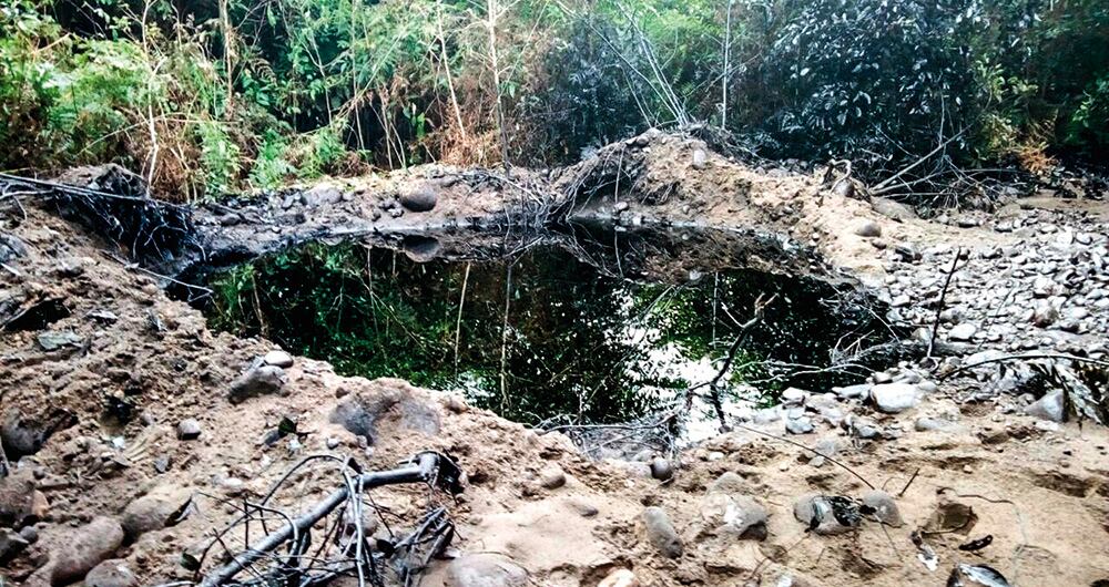 Hay destrucción del medio ambiente. 