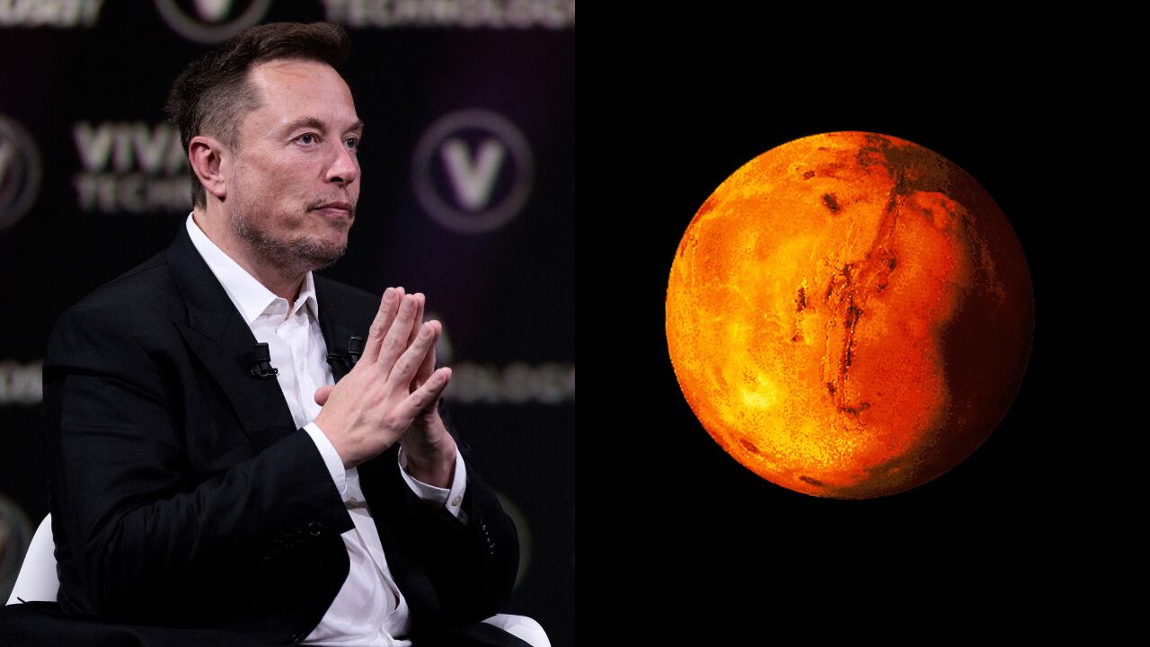 El magnate, CEO de Space X, ya puso fecha a la llegada del hombre a Marte.