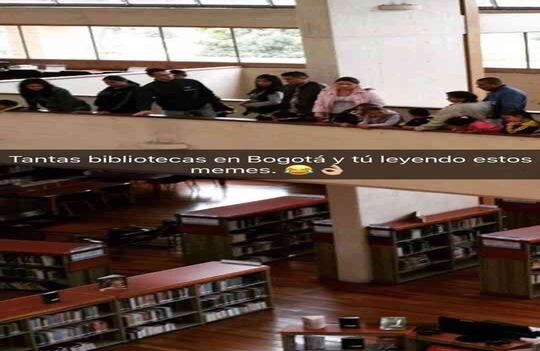 Alcaldía de Bogotá. 